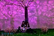 DSC 0233